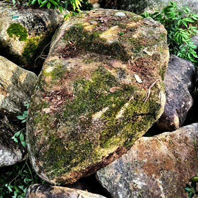 Piedra de montaña salvaje